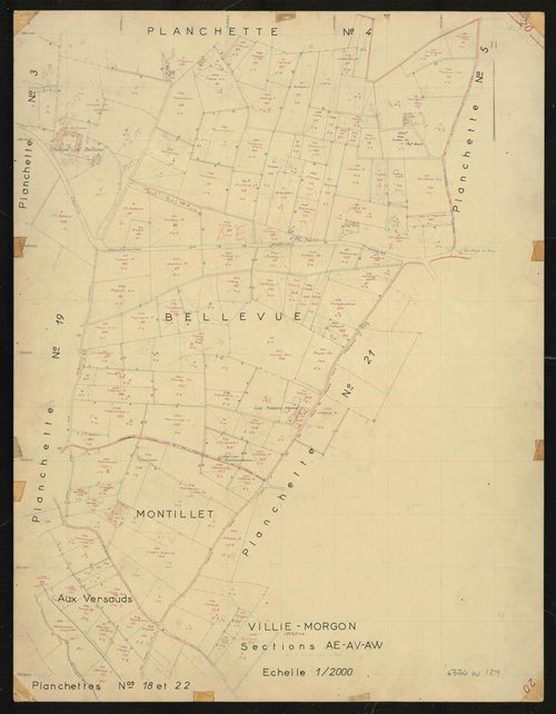 Sections AE, AV, AW : planchette n°20.
