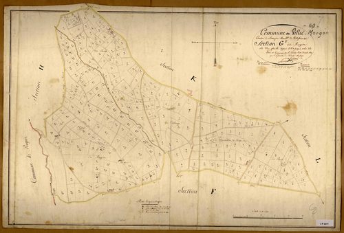 Section G dite Ruyère, feuille unique (parcelles 1-353).