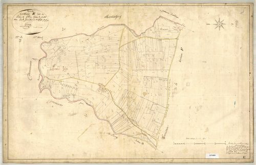 Section E dite des Pesses et Felin, feuille unique (parcelles 1-283).
