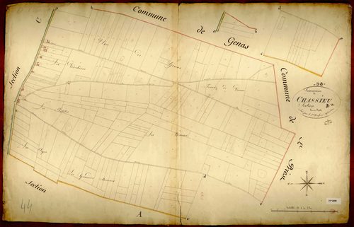 Section D, feuille unique.