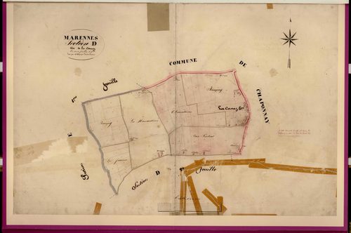 Section D dite de la Cornaz, feuille n°1 : section attribuée à Chaponnay en 1884.