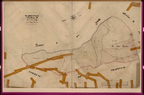 Section D dite de la Cornaz, feuille n°2 : section attribuée à Chaponnay en 1884.