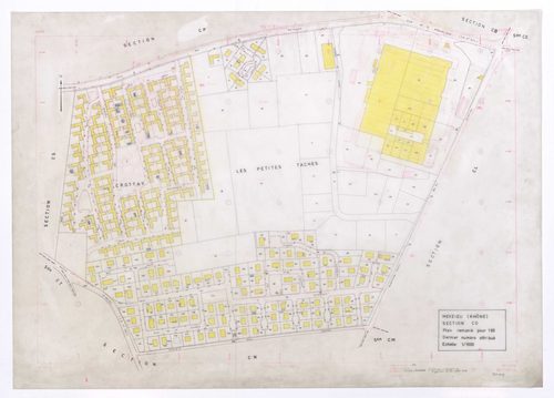 Section CO.