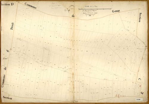 Section D dite de la Plaine, Coupelière, Charnay et la Motte, feuille unique.