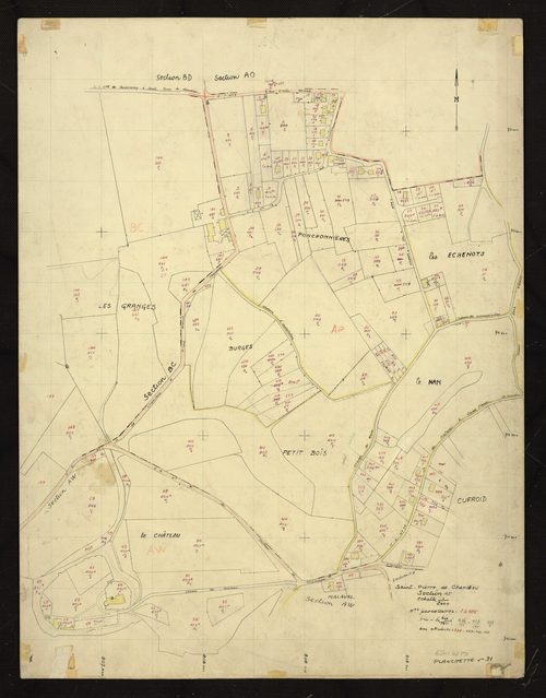 Section AP : planchette 31.