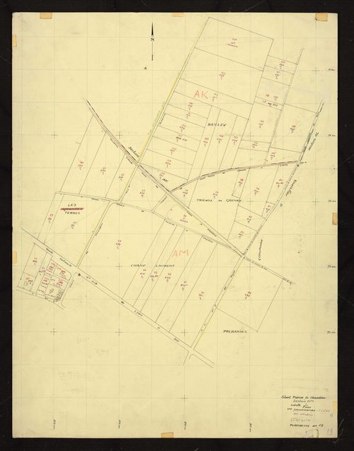 Section AM : planchette 19.