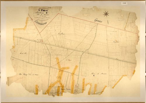 Section B dite de Manicieu, feuille n°3 (parcelles 1-280).