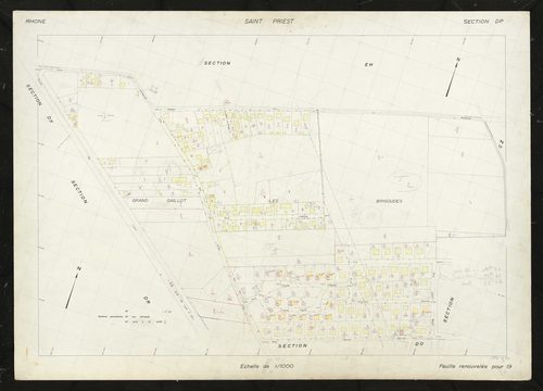 Section DP.