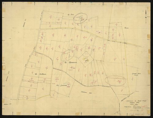 Section BW : planchette n°7.