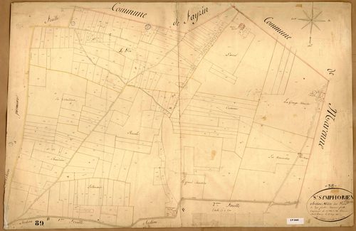Section A dite des Pièces, feuille n°2 (parcelles 336-581).