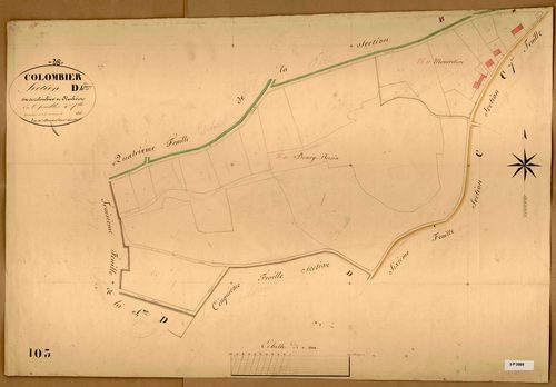Section D dite de Colombier et Plambois, feuille n°4.