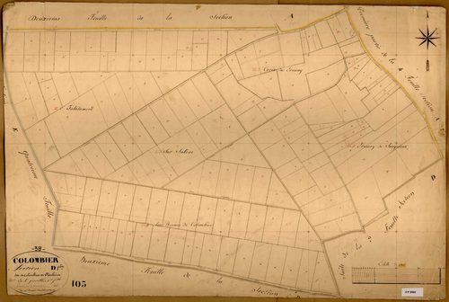Section D dite de Colombier et Plambois, feuille n°1.