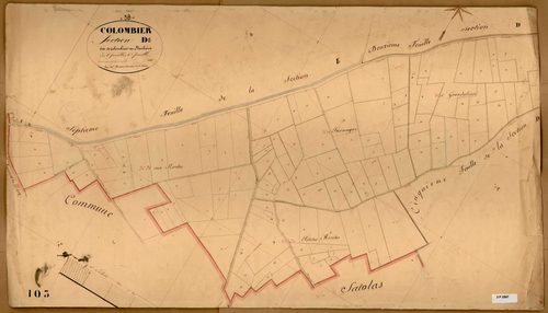 Section D dite de Colombier et Plambois, feuille n°6.