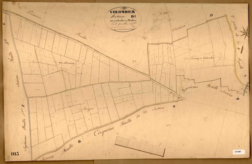 Section D dite de Colombier et Plambois, feuille n°2.