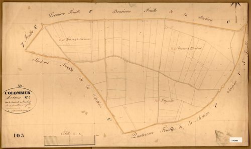Section C dite de la Mont-Cul et Reculon, feuille n°5.