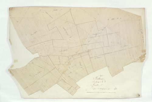Authoison