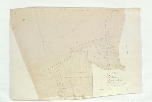 Authoison