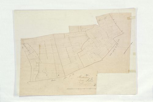 Authoison