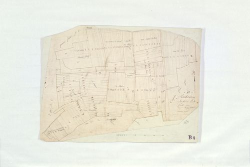 Authoison