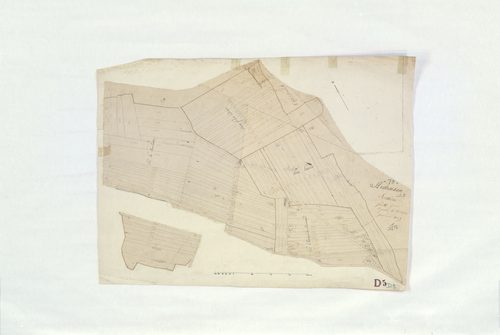 Authoison