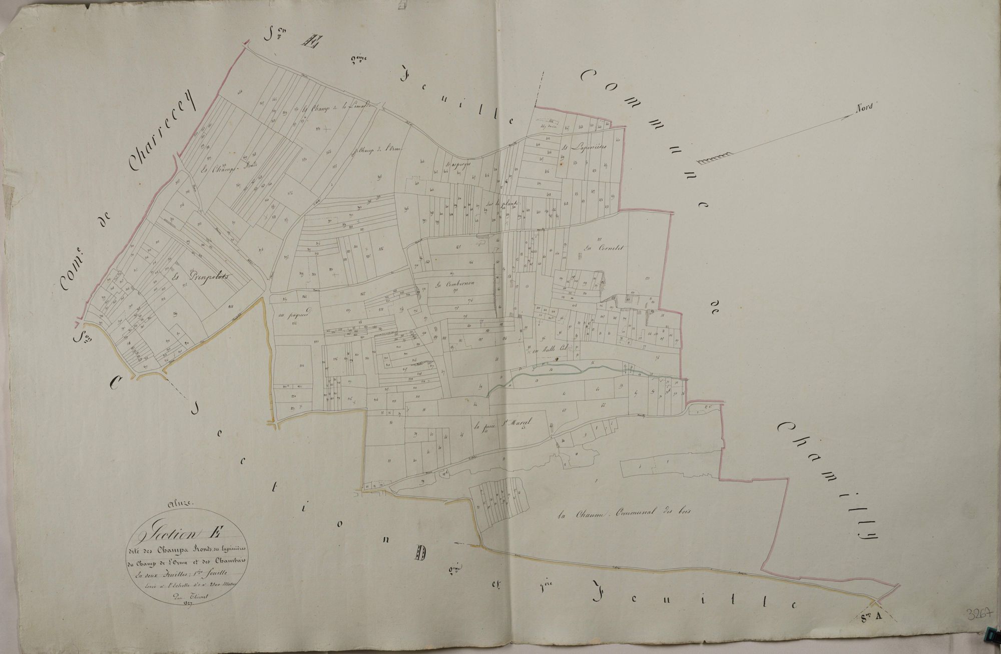 Aluze - LES CHAMPS RONDS DES LAPINIÈRES, LE CHAMP DE L'ORME ET LES CHAMBUIS