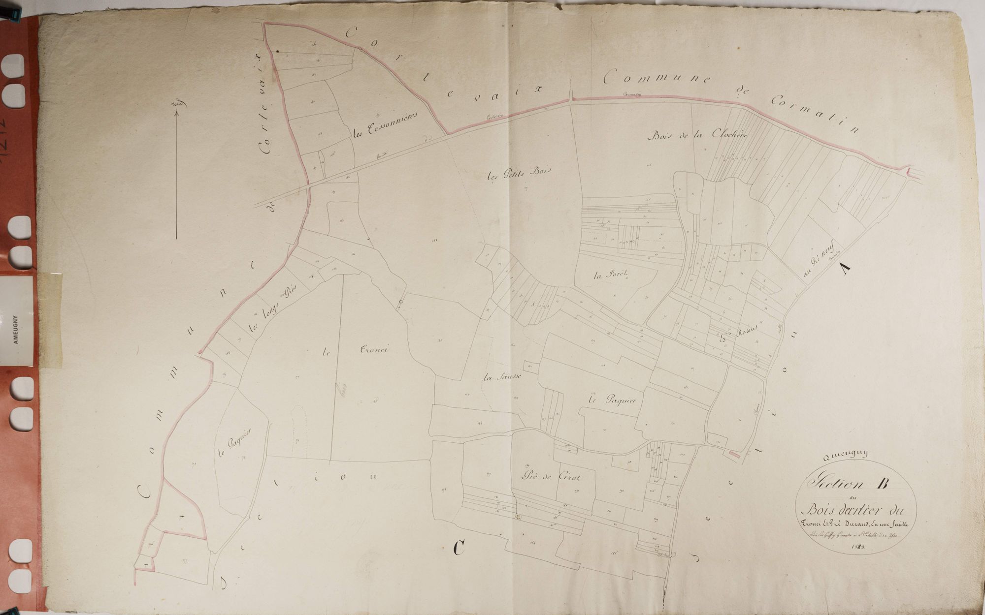 Ameugny - LE BOIS DERNIER DU TRONCY, PRÉ DURAND
