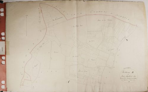 Ameugny - LE BOIS DERNIER DU TRONCY, PRÉ DURAND