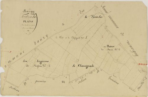 Baugy - LES PLAINS