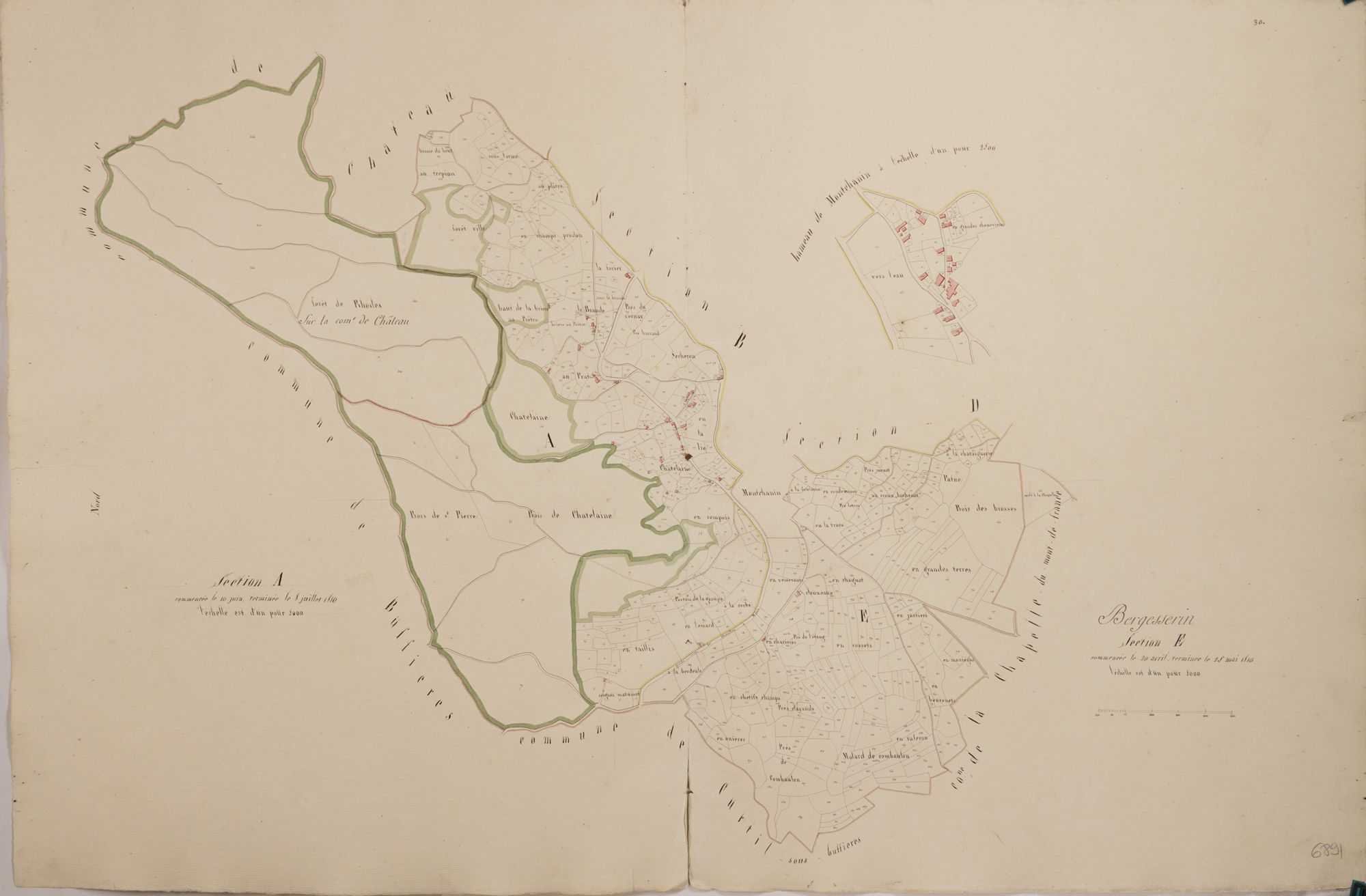 Bergesserin - A1, E1
