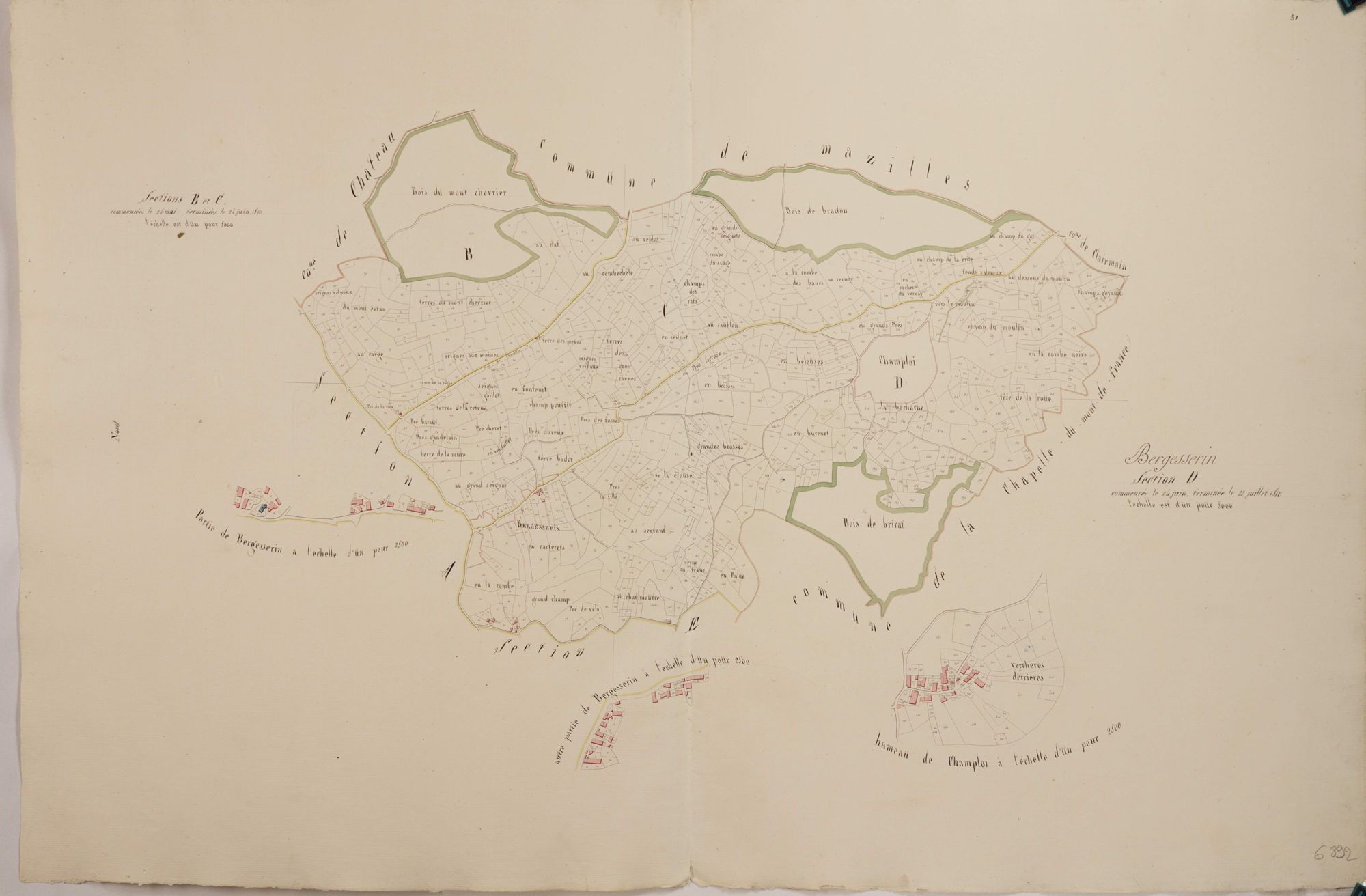 Bergesserin - B1, C1, D1