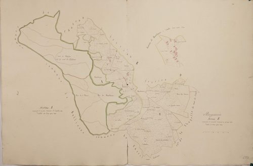 Bergesserin - A1, E1