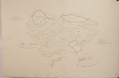 Bergesserin - B1, C1, D1