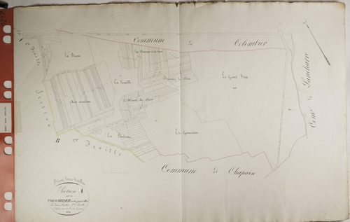 Bissy-sous-Uxelles - LE COLOMBIER, LE GRAND BOIS