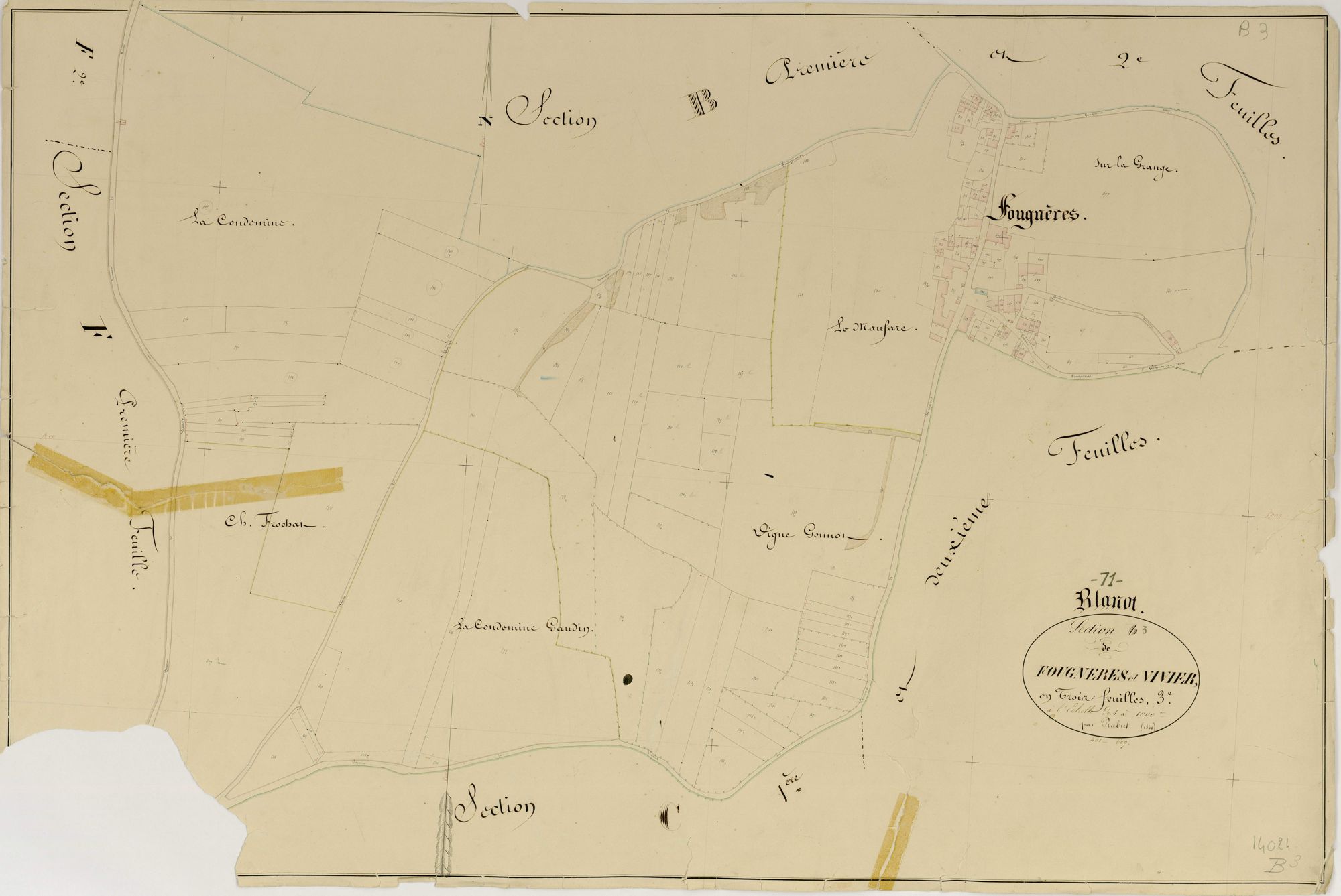 Blanot - FOUGÈRES-VIVIER