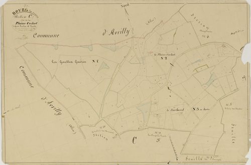 Bourg-le-Comte - LA PLAINE COCHET