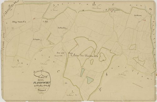 Bourg-le-Comte - LA PLAINE COCHET