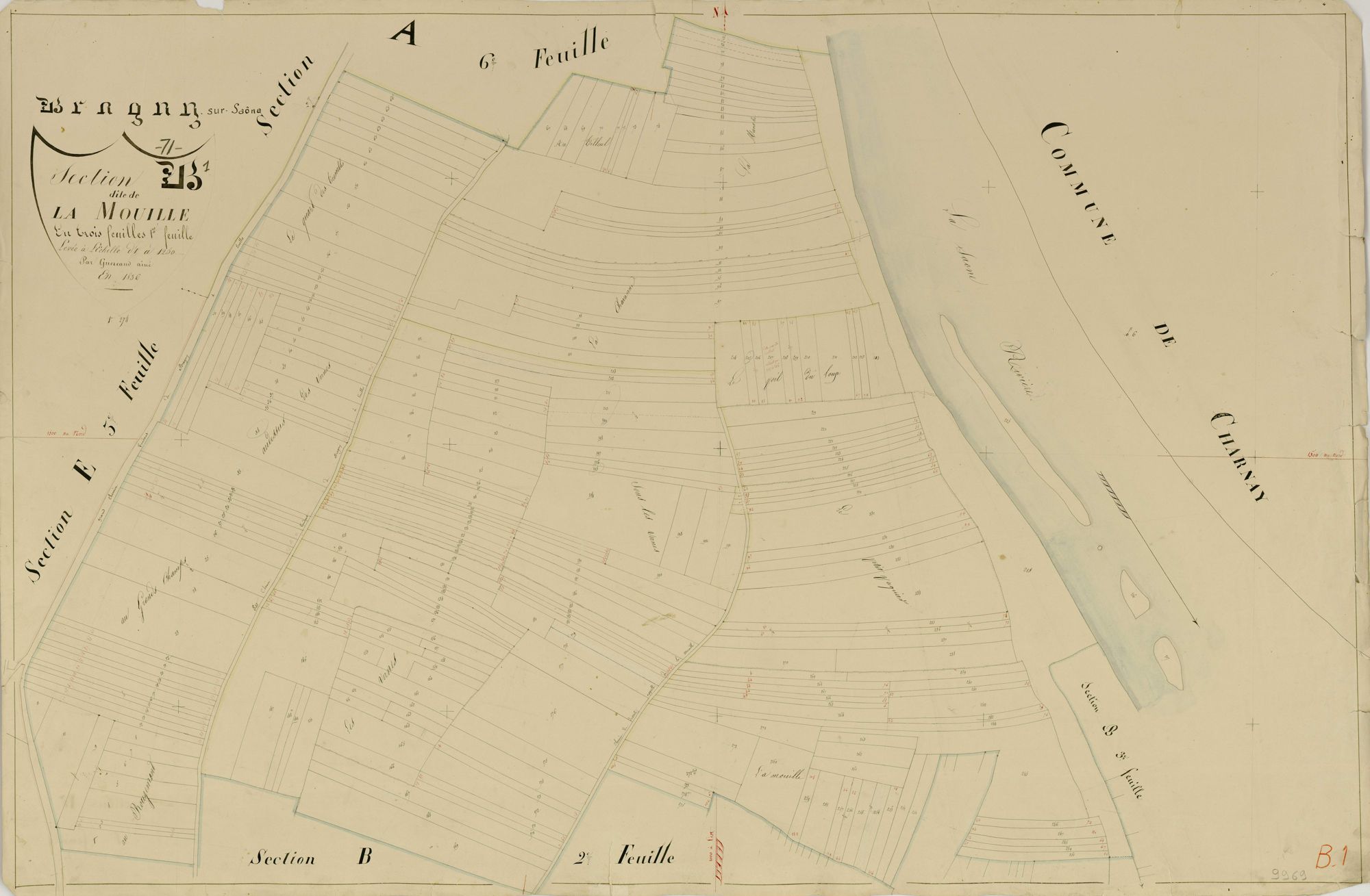 Bragny-sur-Saône - LA MOUILLE