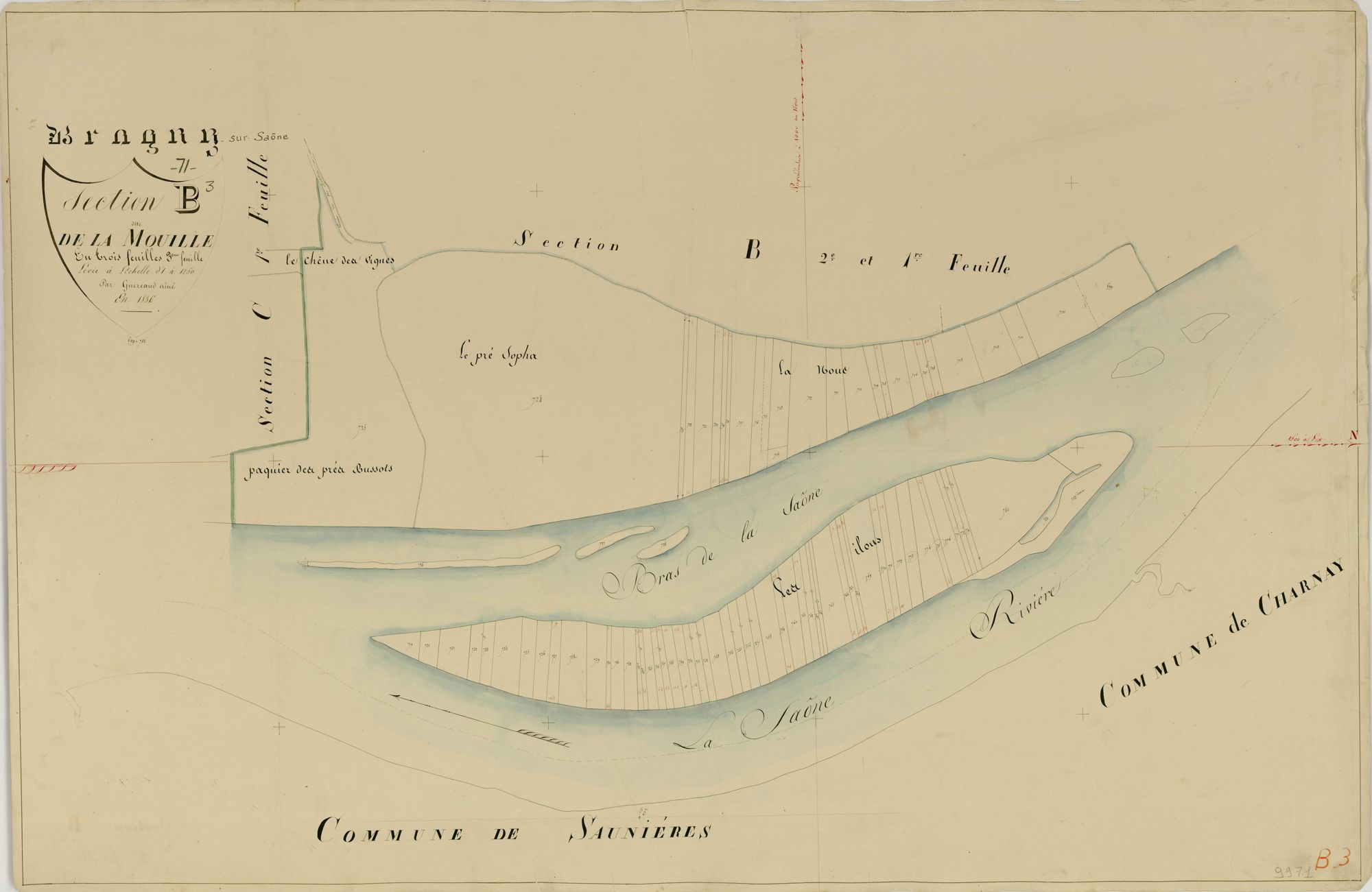 Bragny-sur-Saône - LA MOUILLE