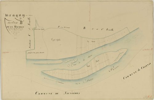 Bragny-sur-Saône - LA MOUILLE