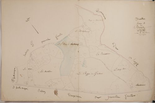 Bruailles - BUET