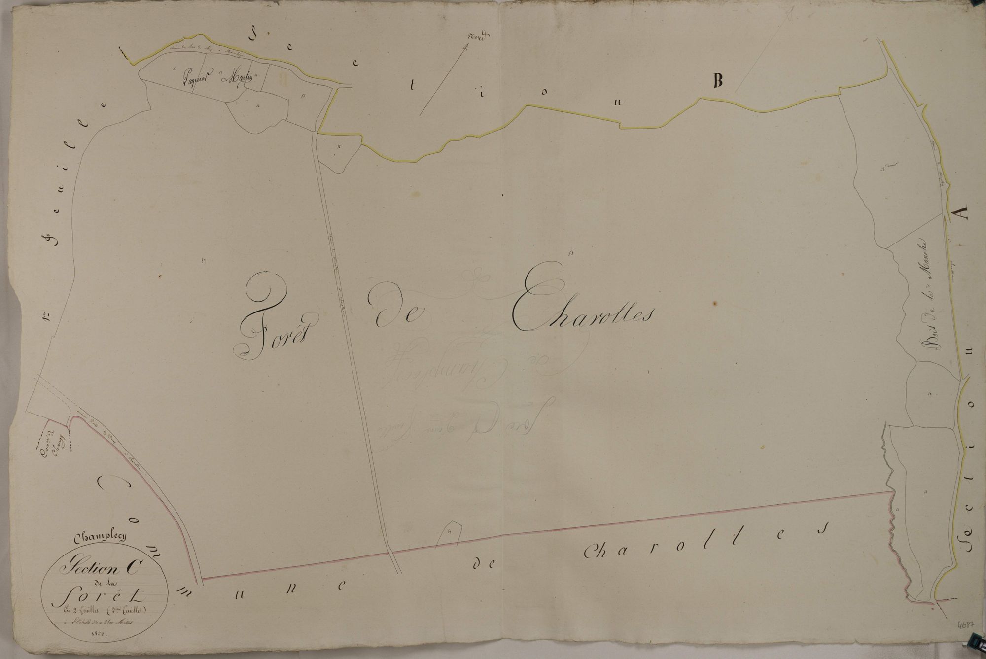 Champlecy - LA FORÊT