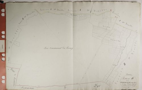 Chapaize - GEMAUGUES, LES BOIS