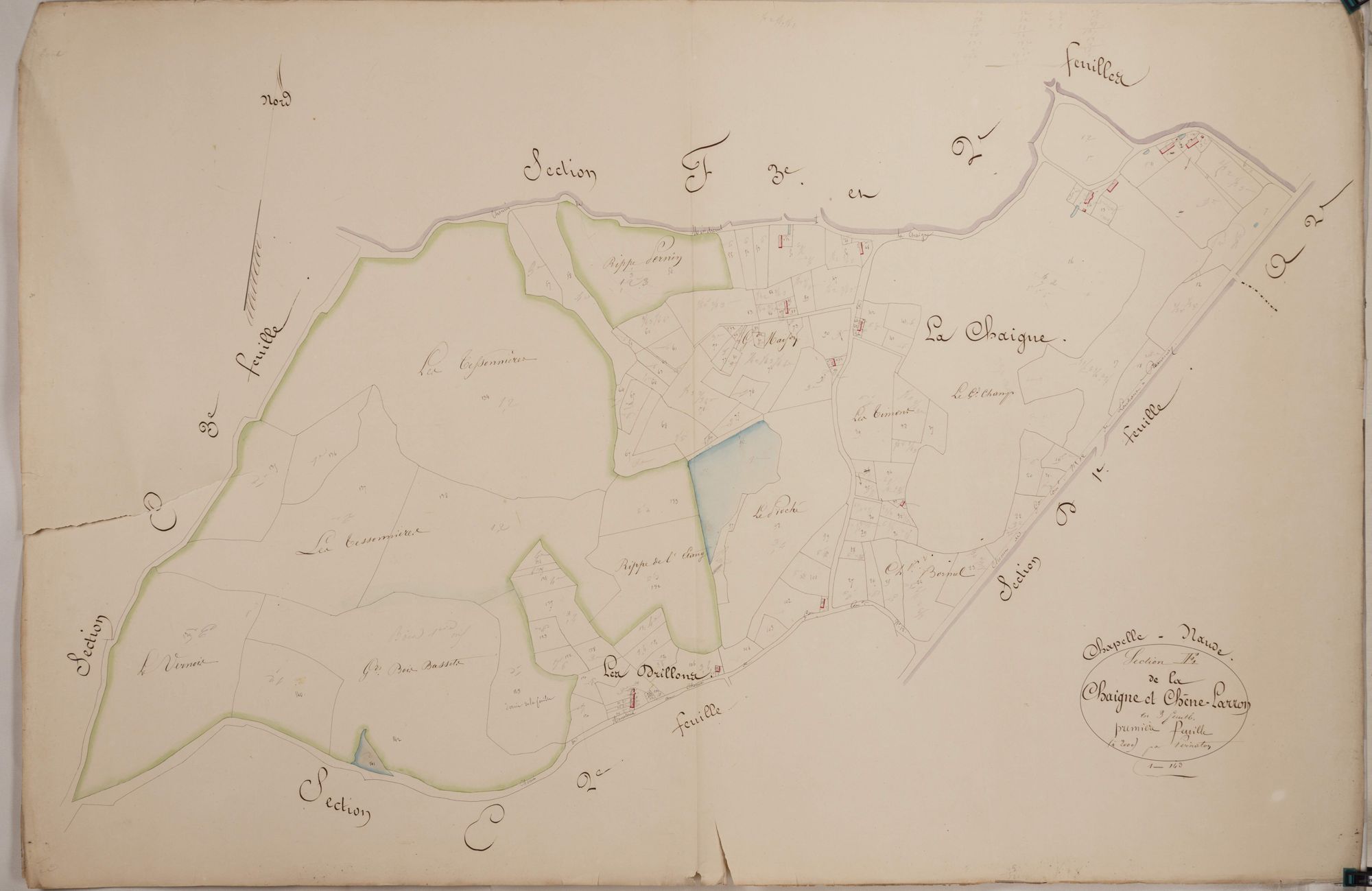 Chapelle-Naude - CHAIGNE, LE CHÊNE LARRON
