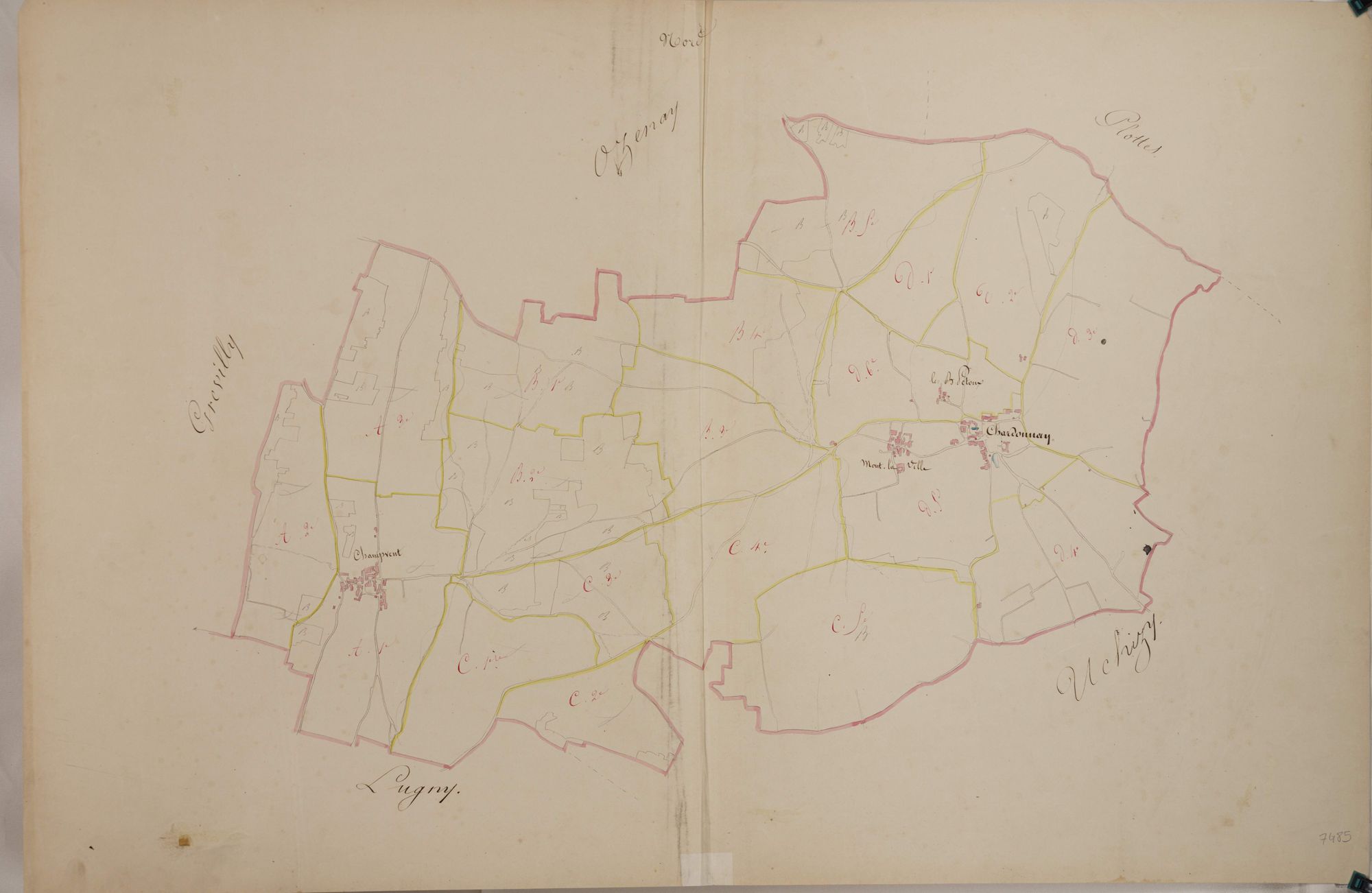 Chardonnay - Toutes sections