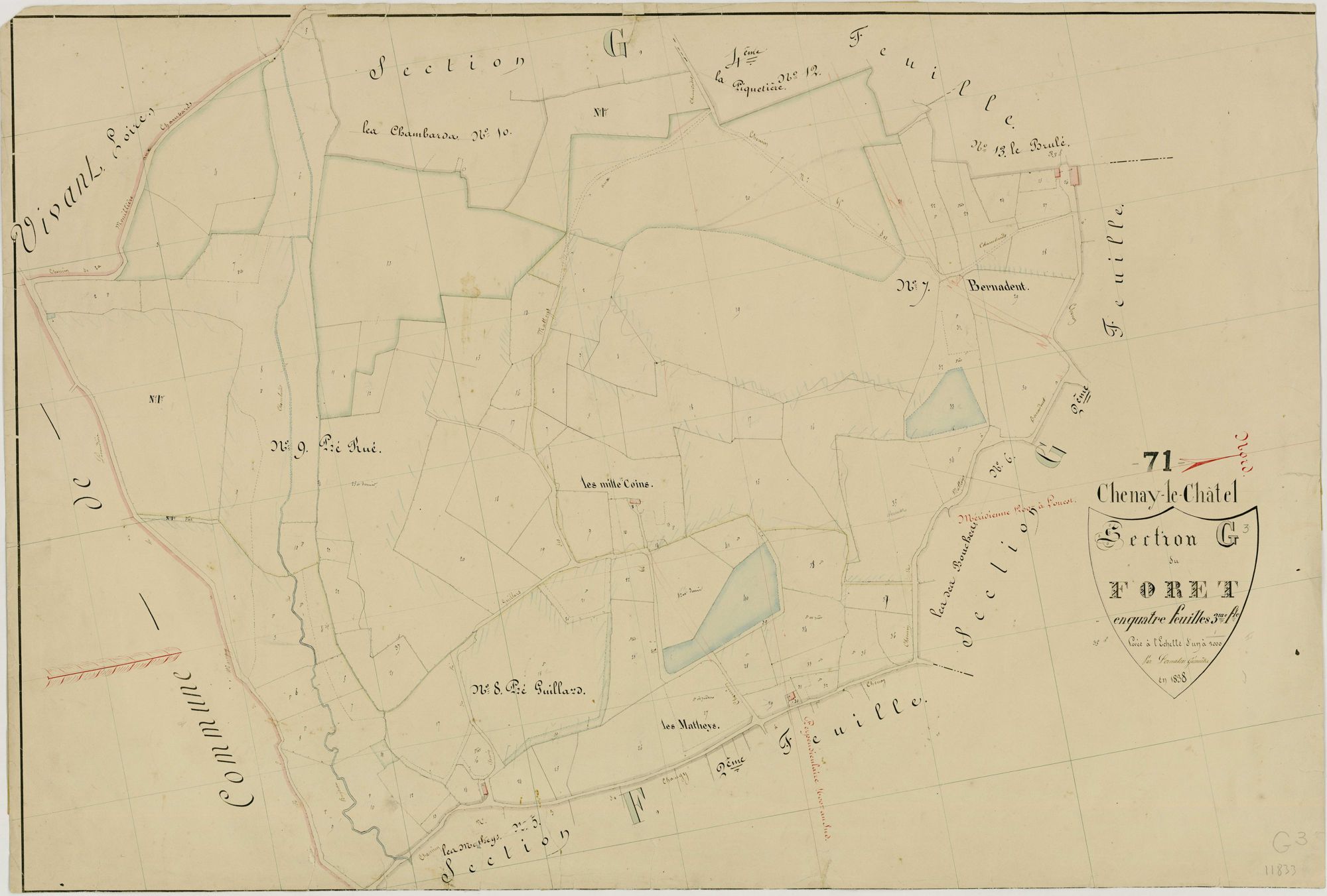 Chenay-le-Châtel - LE FORET