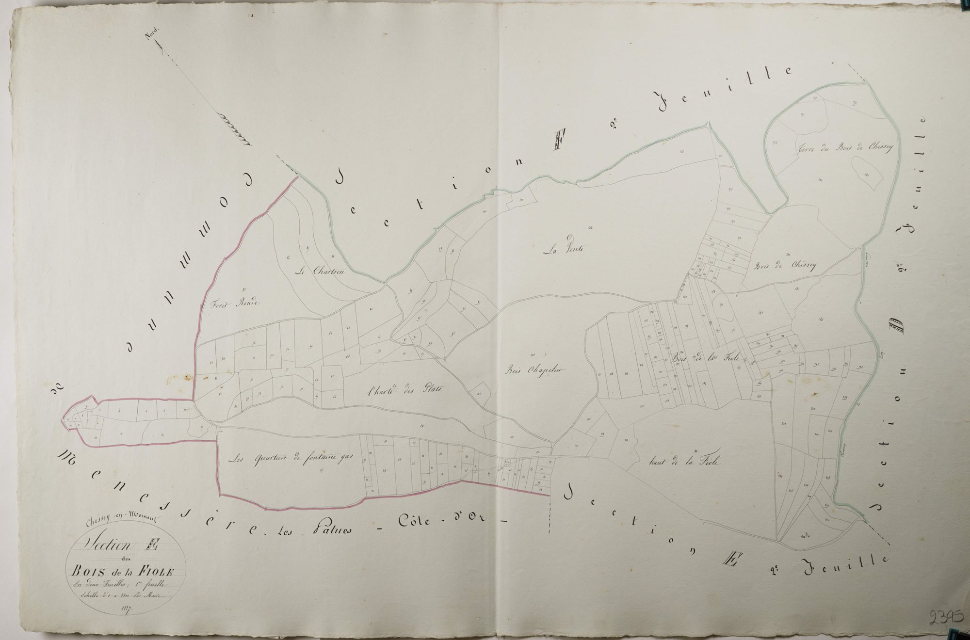 Chissey-en-Morvan - LES BOIS DE LA FIOLE