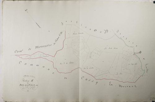 Chissey-en-Morvan - LES BOIS DE LA FIOLE