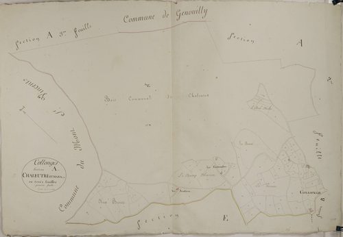Collonge-en-Charollais - CHALEUTRE, MARANGE