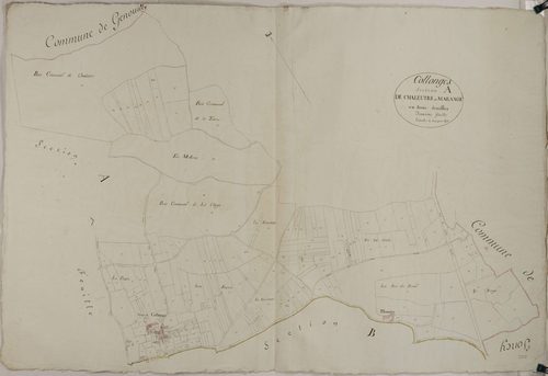 Collonge-en-Charollais - CHALEUTRE, MARANGE