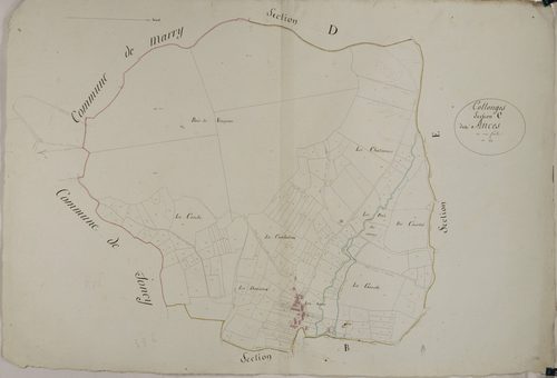 Collonge-en-Charollais - LES ANCES